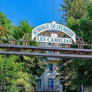 Hi Les Camelias Nicea